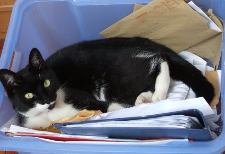 Betty in box 2
